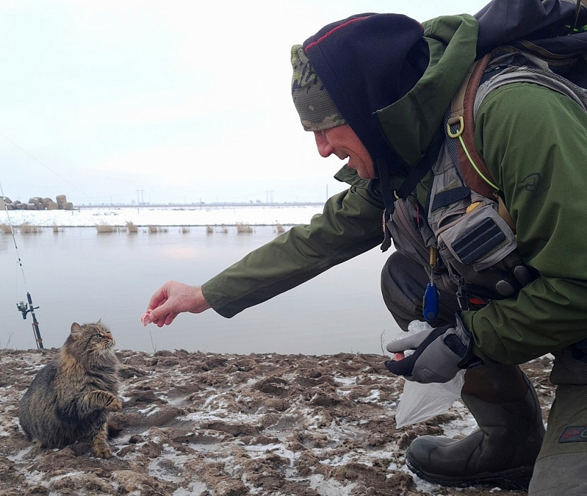 Последние из Могикан. Последние трофейные судаки в нашем водоёме.
