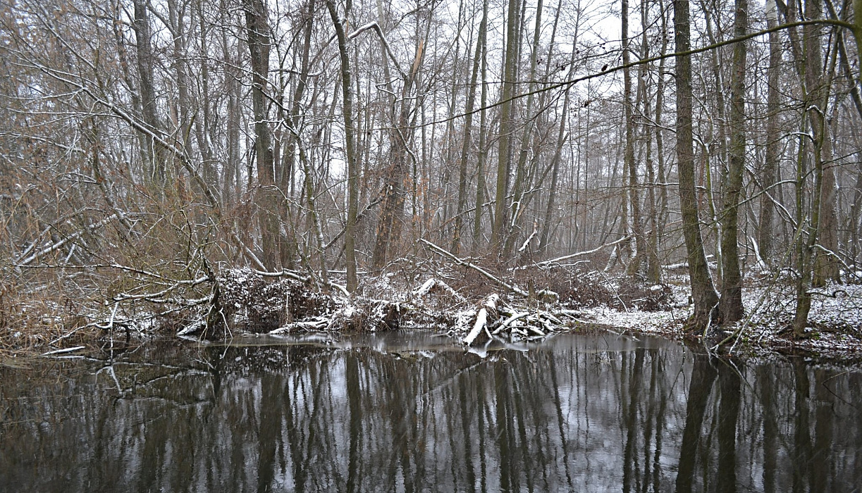 Ловля спиннингом зимой с лодки. Закрытие сезона ловли щуки.